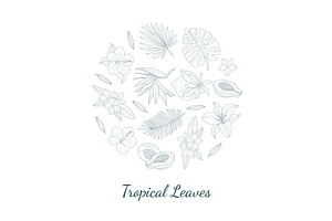 Tropical Leaves And Flowers Of