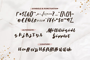 Rekan - Brush Script Font, a Script Font by Typefactoryco (Thumbnail 3 of 8)
