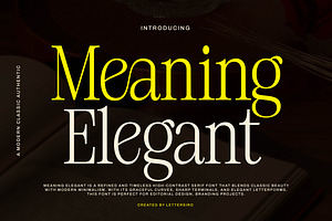 Meaning Elegant - Classic Serif Font