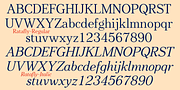 Ratafly, a Serif Font by Ingrimayne Type (Thumbnail 9 of 11)