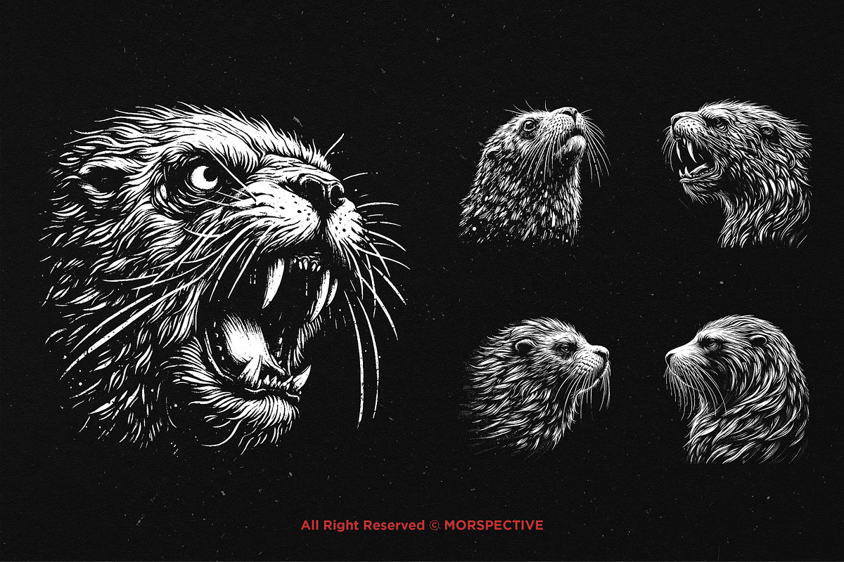 10 Bundle Dark Art Sea Lion Ocean, an Illustration by Morspective (Photo 5 of 7)