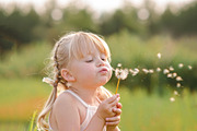 Sunshine Overlays Big Bundle 123, a Layer Style Add-On by Ashley Alexandra Design (Thumbnail 14 of 15)