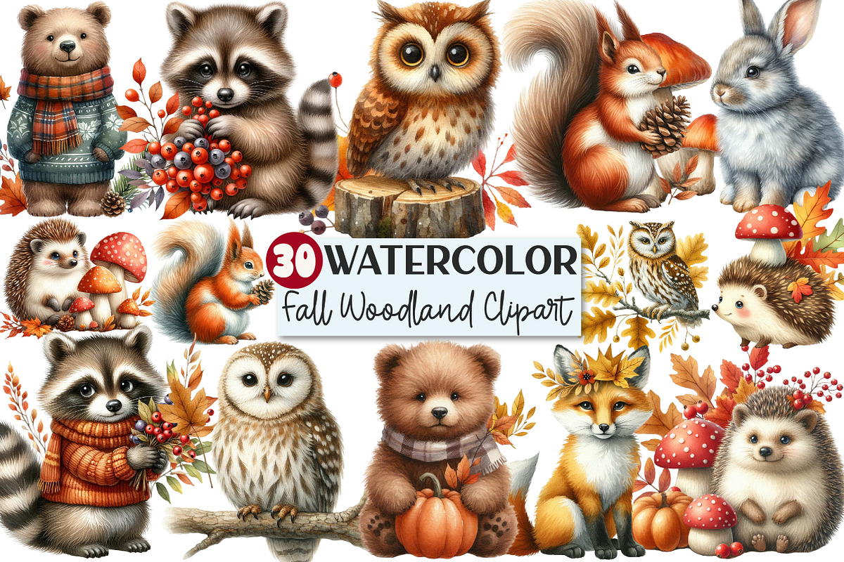 Watercolor Fall Woodland Clipart, an Illustration by Rose Art (Photo 1 of 4)