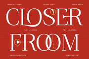 French Clover - Ligature Serif, a Serif Font by Typia Nesia (Thumbnail 8 of 13)