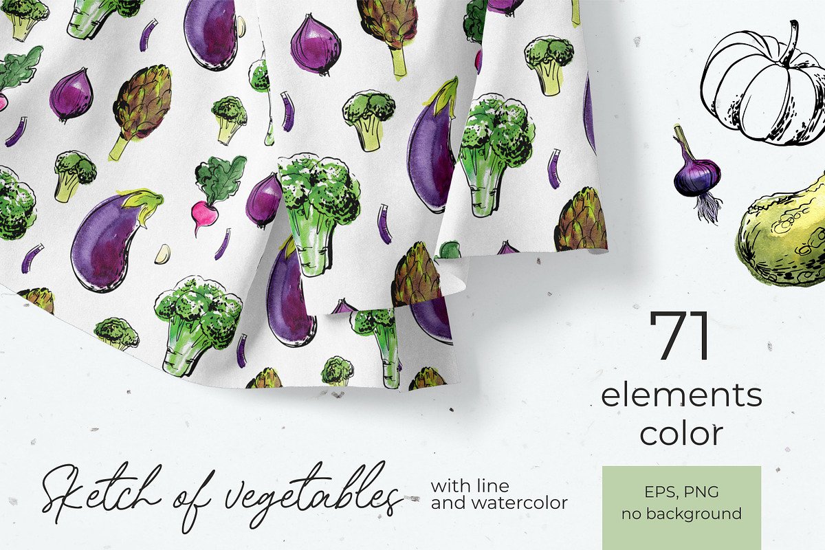 Vegetables vector sketch watercolor, a Food Illustration by irina.vaneeva (Photo 10 of 18)
