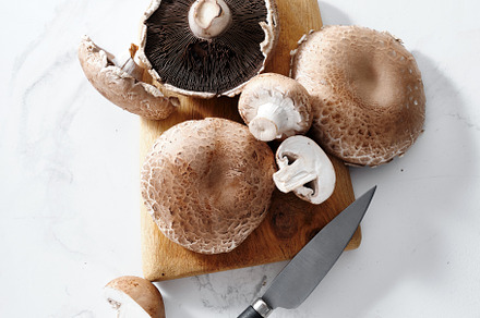 Cooking portabello mushrooms top view, a Food & Drink Photo by Asya Nurullina