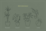 Home Plant Lover, a Decorative Illustration by Anna.Klets (Thumbnail 4 of 11)