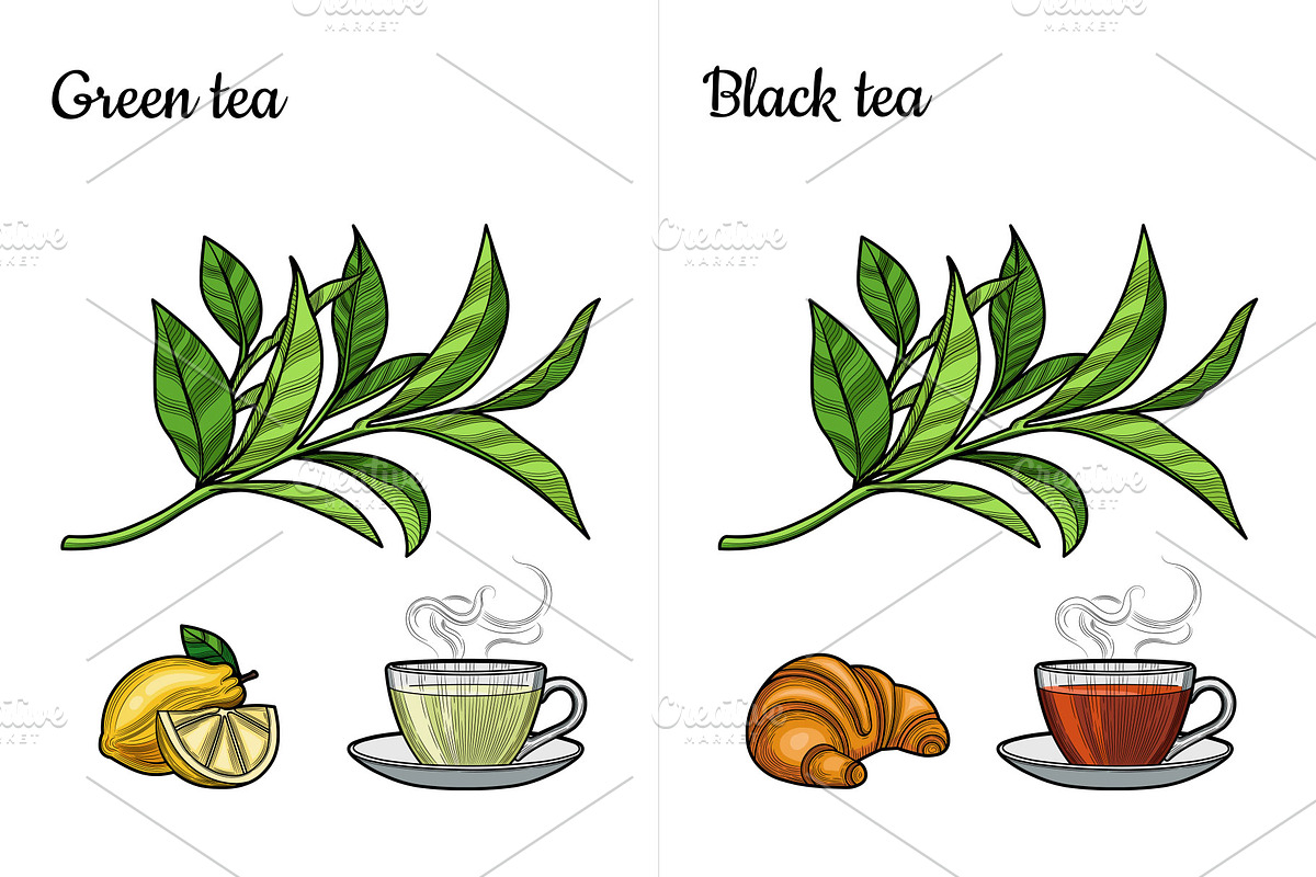 Coffee, cacao, tea., an Object Graphic by VitalinaGofman (Photo 3 of 11)