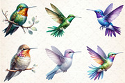 Watercolor Hummingbird Clipart, an Illustration by Rose Art (Thumbnail 2 of 4)