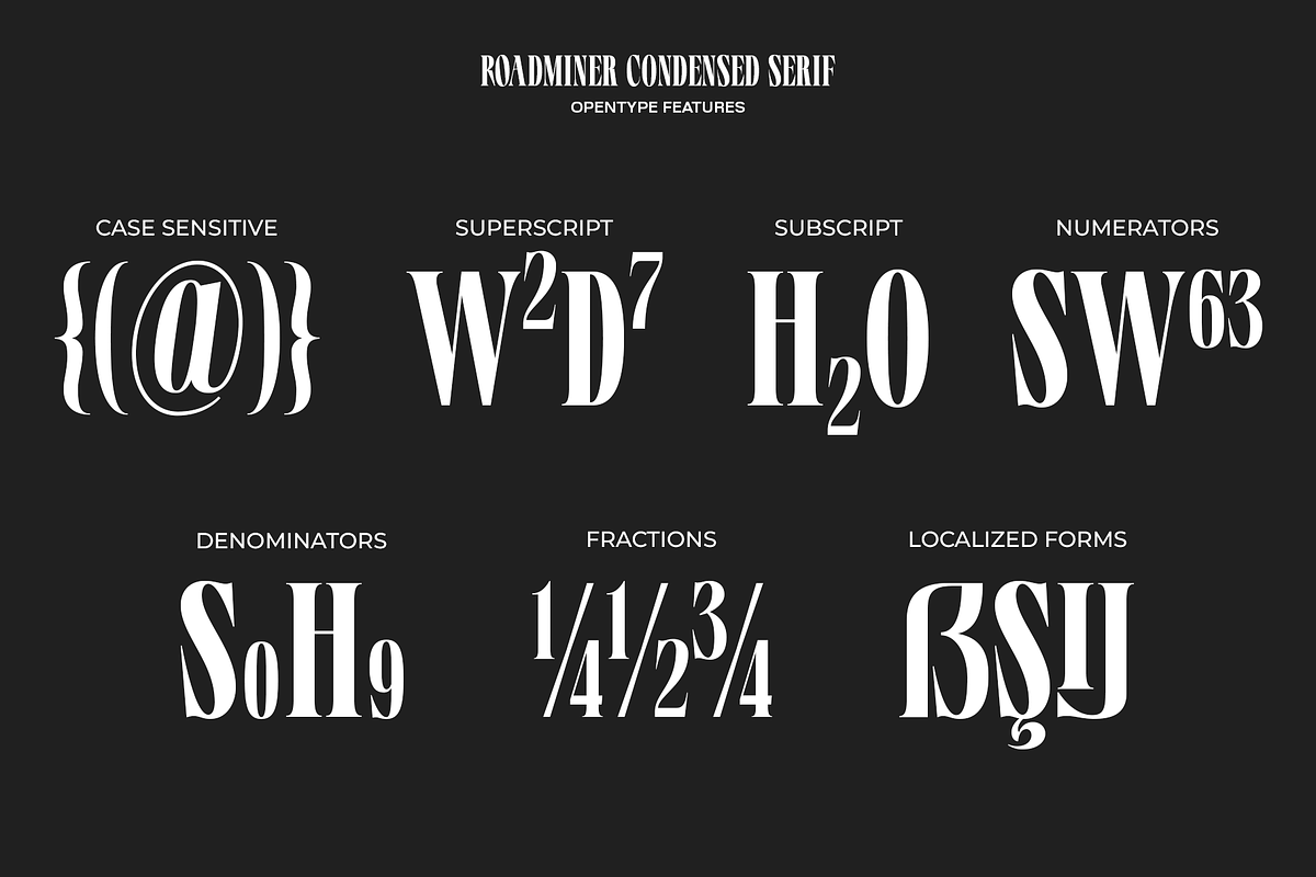 Roadminer - Condensed Serif Typeface, a Serif Font by Mbonster Design Studio (Photo 11 of 17)