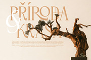 Rosevine – Latin Extended Version, a Serif Font by Hakara Type (Thumbnail 3 of 10)