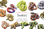 Watercolor Snakes Clipart, 20 PNGs, an Object Graphic by stickermadness (Thumbnail 2 of 4)