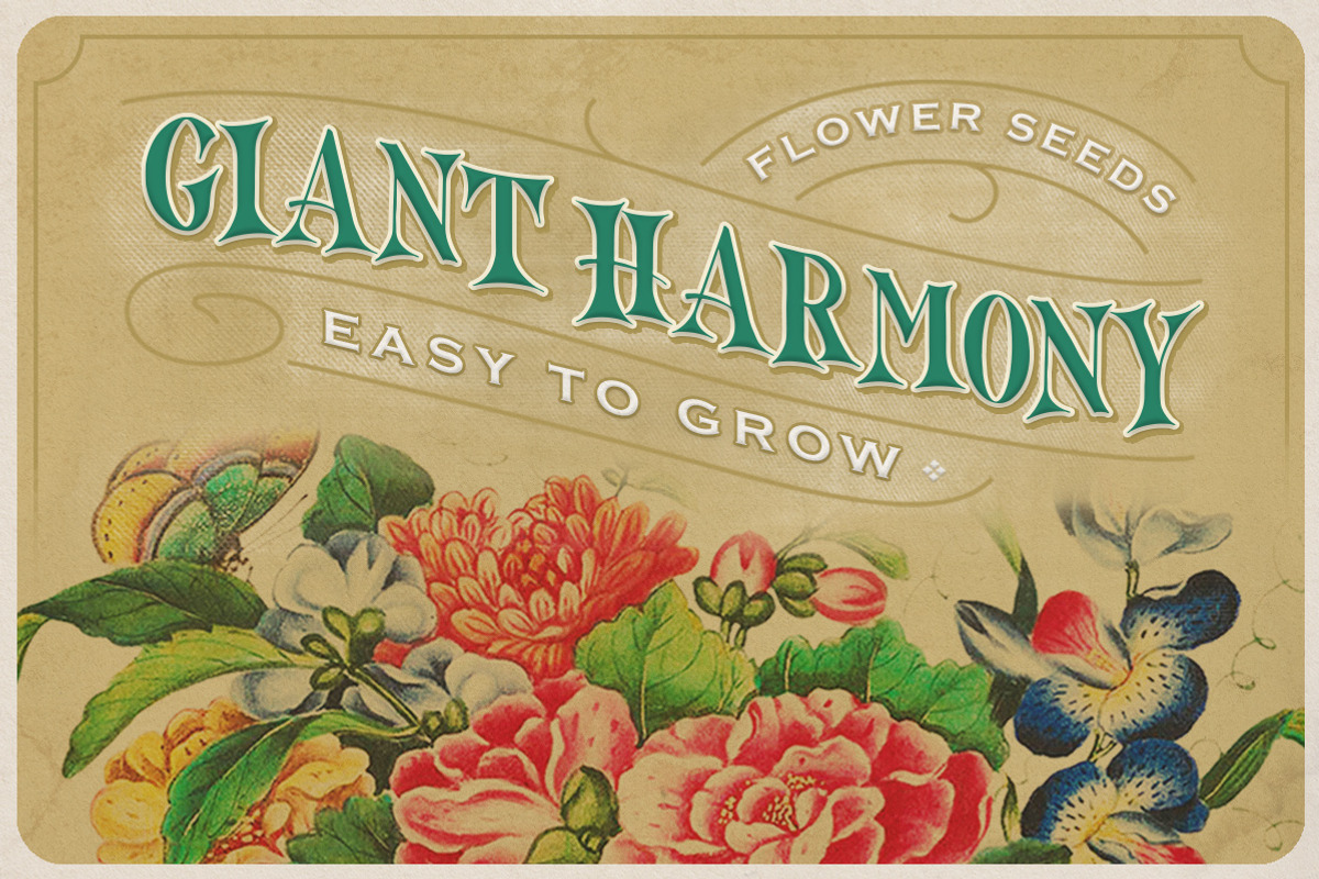 North Mountain - Display Typeface, a Serif Font by Letterhend Studio (Photo 2 of 8)