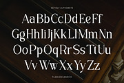 Sefiely - Modern Serif Font, a Serif Font by Flawless And Co (Thumbnail 8 of 10)