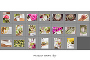 May Floral Bundle 1, a Household Mockup by Paisley Barn Design (Thumbnail 6 of 6)