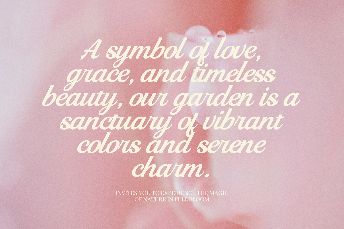 Risty Script Font, a Script Font by Elegant Font (Photo 6 of 8)