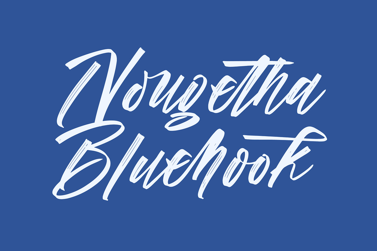 Vichellen Jordan Modern Brush Font, a Script Font by stylishtype.co (Photo 5 of 20)