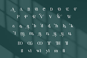 Avillia - Elegant Serif Font, a Serif Font by Aqeel_Art (Thumbnail 10 of 10)