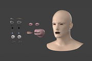 Natural Male Head 01 Generic Mesh, a Characters & Person 3D Model by VK Studio (Thumbnail 13 of 29)