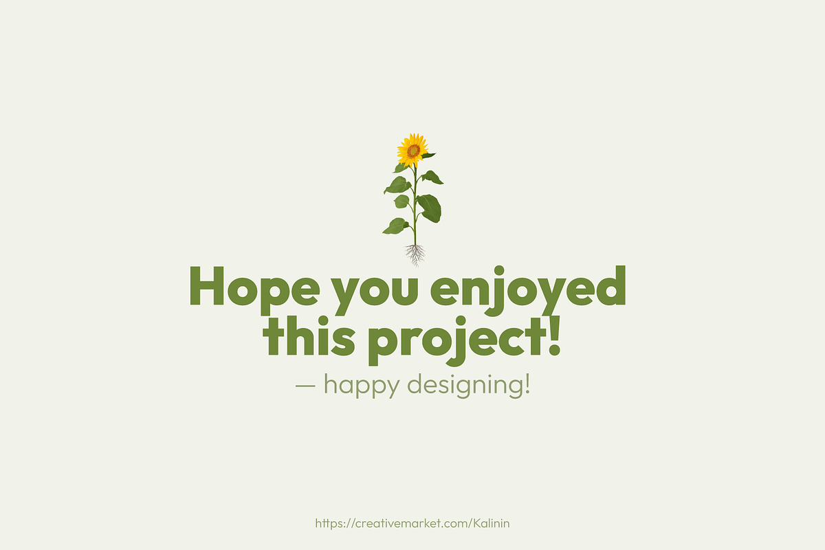 Sunflower Growth Stages Illustration, an Illustration by Ilia Design (Photo 5 of 5)