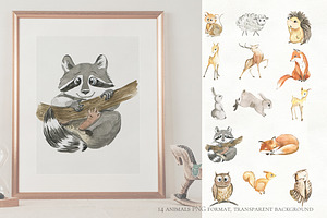 Woodland Animal Watercolor Set