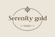 Bogesta, a Serif Font by Mantype Studio (Thumbnail 9 of 16)