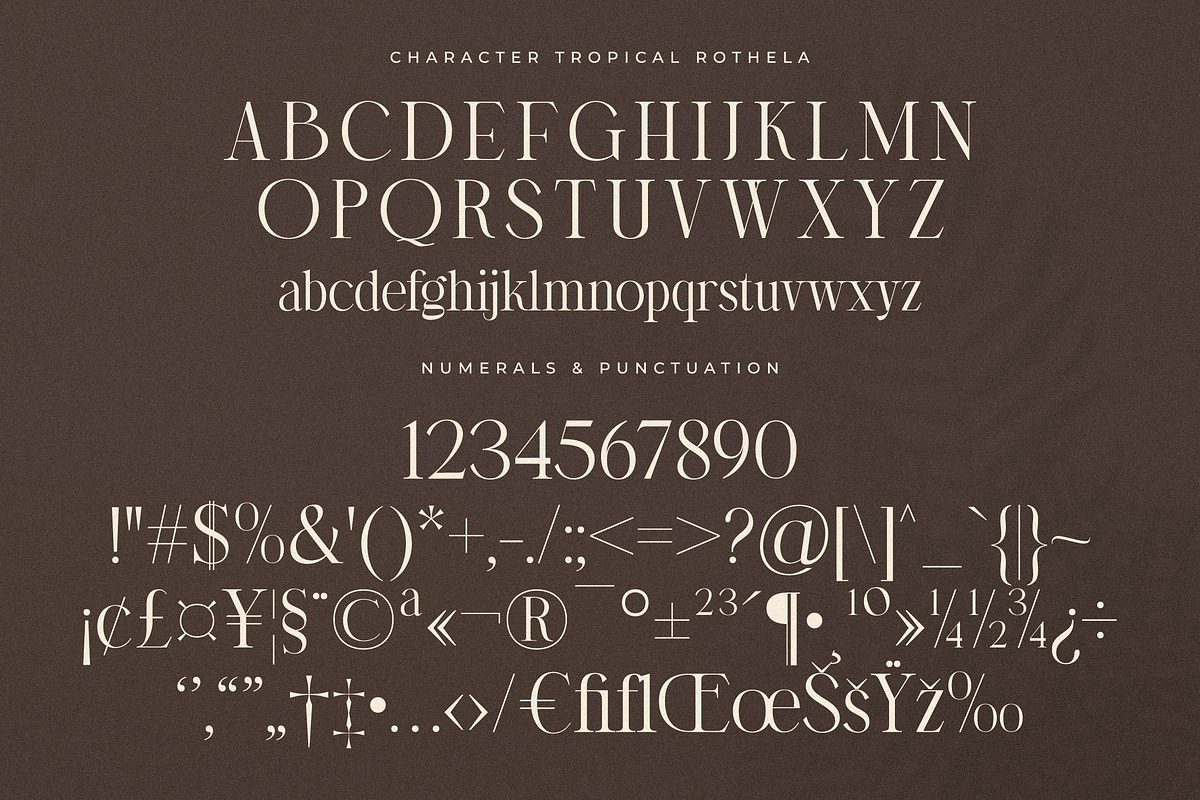 Storyline Regario Font Duo, a Serif Font by Storytype Studio (Photo 11 of 15)