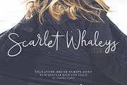 Scarlet Whaleys Font, a Script Font by trustha (Thumbnail 1 of 11)