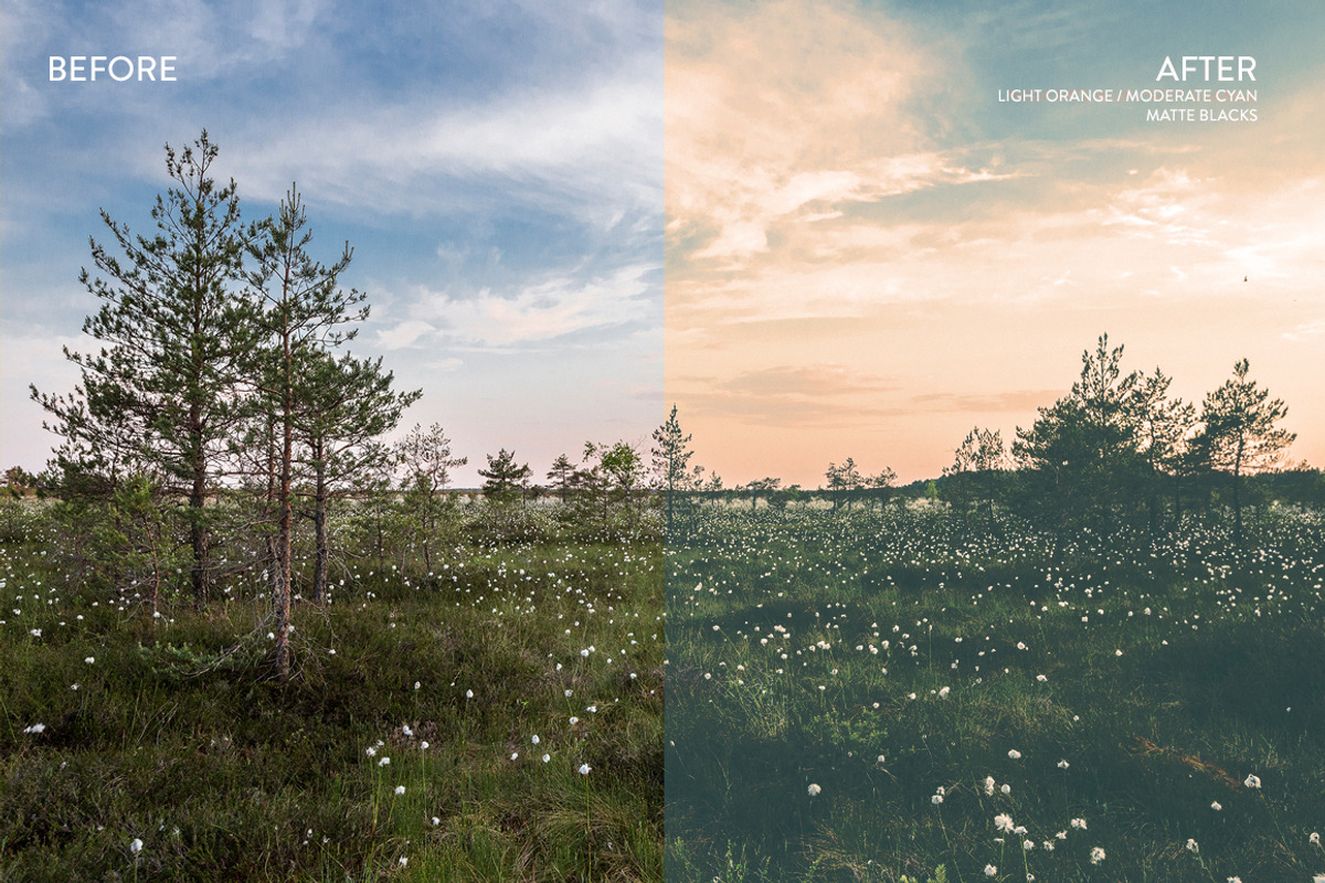 15 Cross Processing effects, an Action Add-On by RAPPIDLY (Photo 3 of 5)