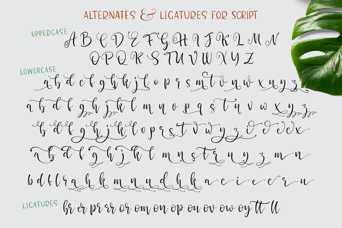 Sugar Cake, a Script Font by Larin Type Co. (Photo 13 of 15)