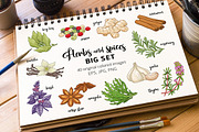 40 colored spices and herbs, a Food Illustration by Primula`s shop (Thumbnail 1 of 2)