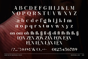 Bloxe Elegant Serif Font, a Serif Font by Graphicxell (Thumbnail 8 of 8)