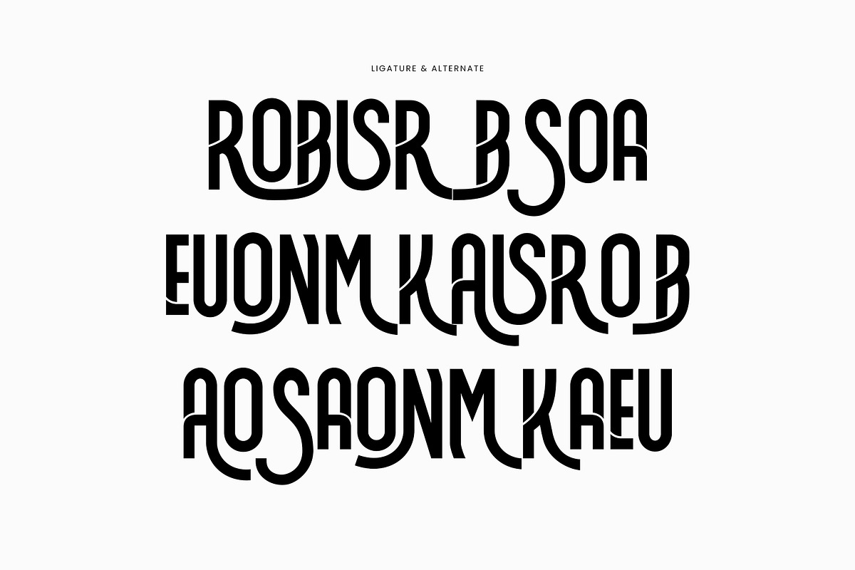 Robison Modern Ligature Futuristic S, a Sans Serif Font by Perfectype (Photo 8 of 8)
