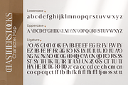 Chastherstocks Stylish Modern Font, a Serif Font by Vampstudio (Thumbnail 12 of 13)