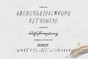 Torastige Script, a Script Font by moriztype (Thumbnail 6 of 6)