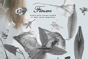 Pale Side: Papers, Flowers & Traces, an Object Graphic by Purple (Thumbnail 9 of 16)
