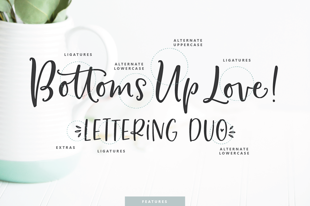 Bottoms Up Love Font Duo Extras, a Script Font by Emily Spadoni (Photo 14 of 16)