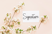 Halloween | Script Font, a Handwritten Font by Scratchones (Thumbnail 4 of 8)