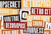 Amvergo Modern Sans Family, a Sans Serif Font by Lettertype Studio (Thumbnail 15 of 18)