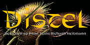Distel, a Font by Finaltype (Thumbnail 1 of 11)