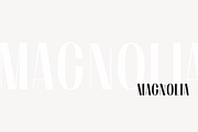 Wilk - A Classy Sans Serif Font, a Sans Serif Font by KA Designs (Thumbnail 3 of 11)