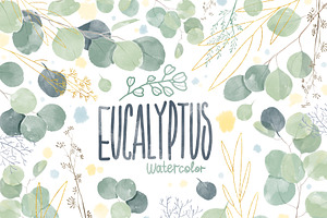 Watercolor Eucalyptus clipart, an Illustration by NKTKNS