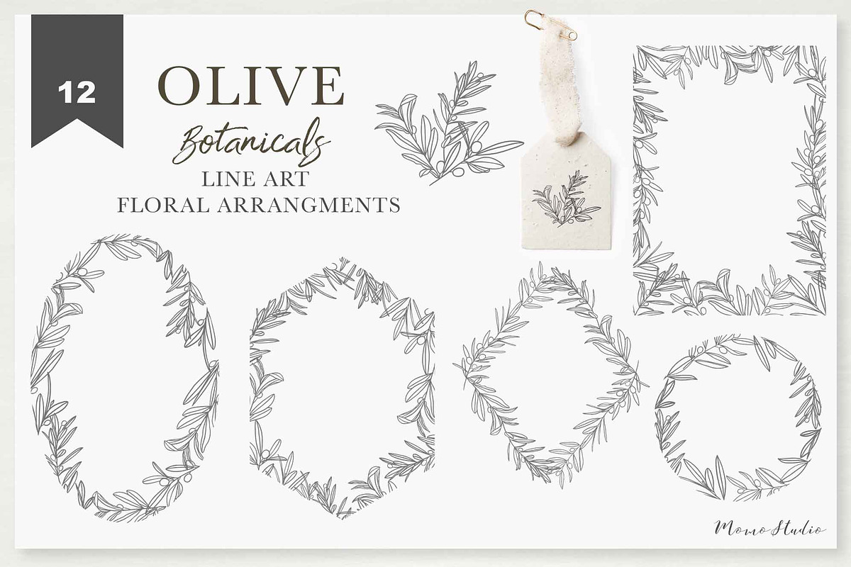OLIVE BOTANICALS Watercolor & Line, a Work Illustration by Momo Studio (Photo 12 of 15)
