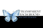 Skipper Butterfly Clipart, Butterfly, an Animal Illustration by BrushstrokeArtGB (Thumbnail 7 of 9)