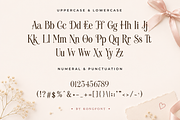Roseliette - Elegant Serif Font, a Serif Font by overlaytemplates (Thumbnail 4 of 5)