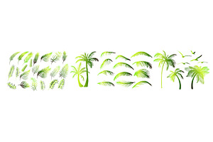 Set Of Green Palm Tree Elements