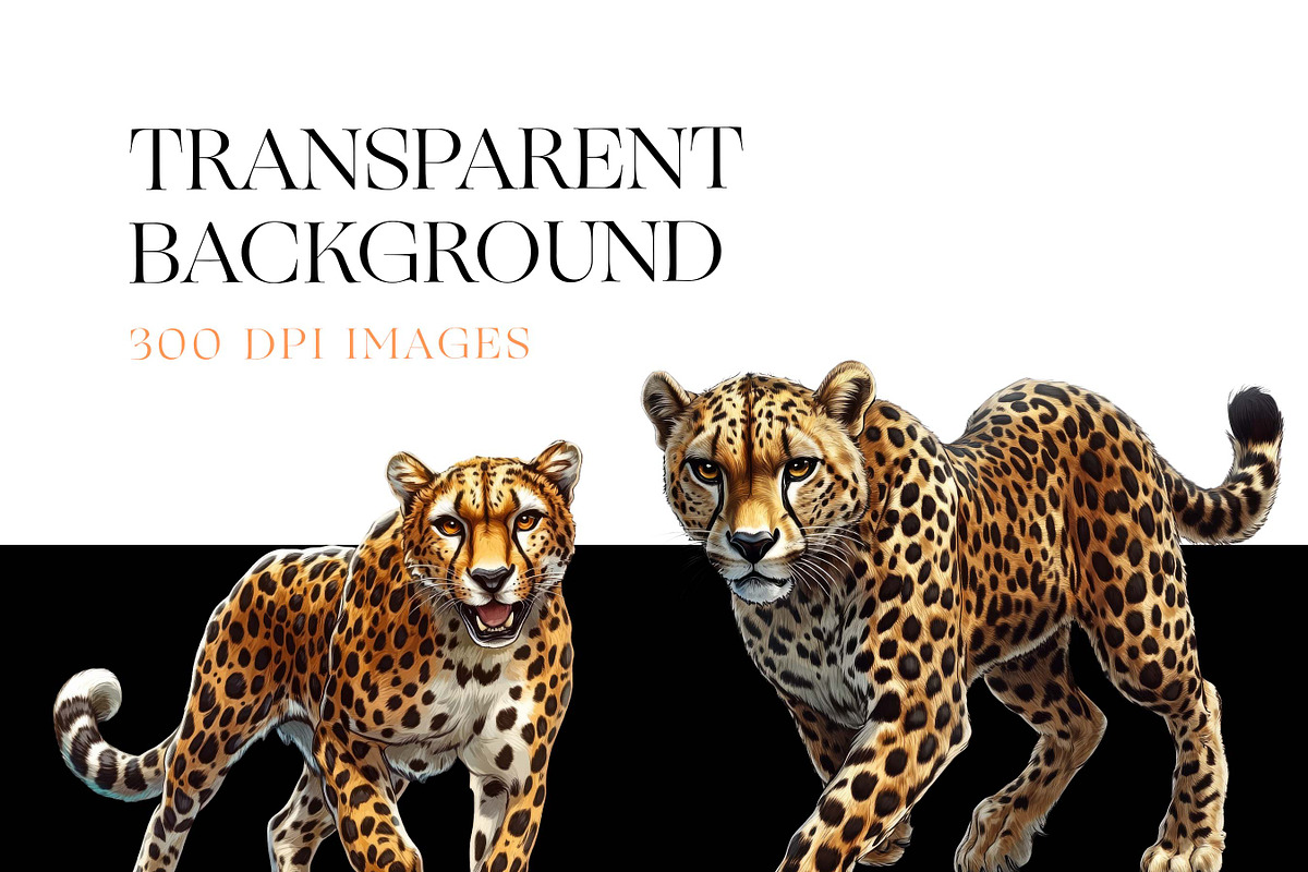 Cheetah Clipart, Wild Cat, Cheetah, an Animal Illustration by BrushstrokeArtGB (Photo 7 of 9)