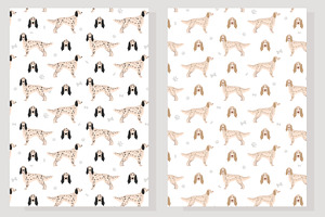 English Setter Clipart