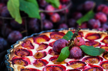 Fresh homemade plum tart