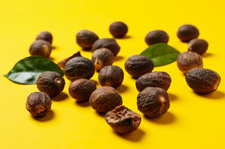 Nutmegs and leaves on yellow background, close up, a Food & Drink Photo by AtlasStudio PRO